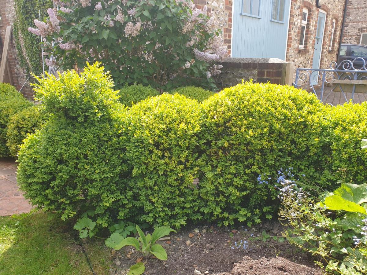 Delightful Cottage On The River Adur Close To Brighton & The Downs No Dogs Sorry Upper Beeding Exterior photo